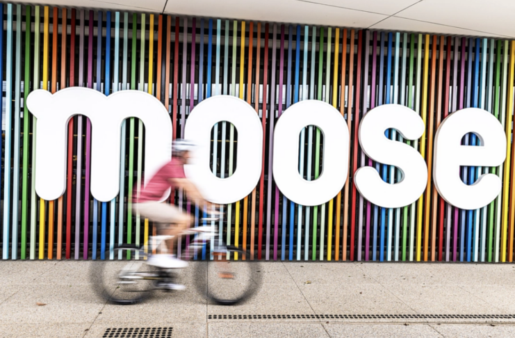 Moose